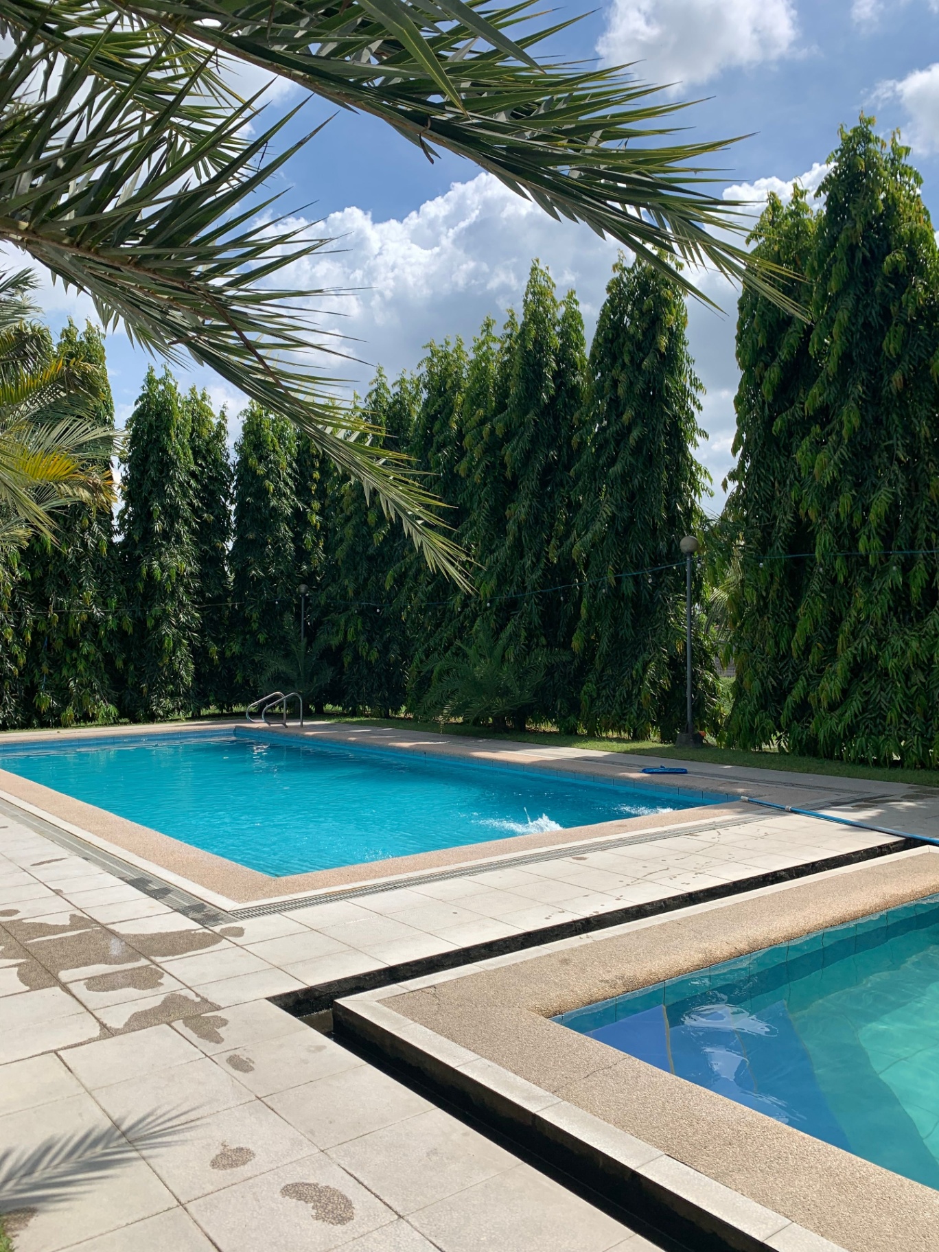 Pool Decks
